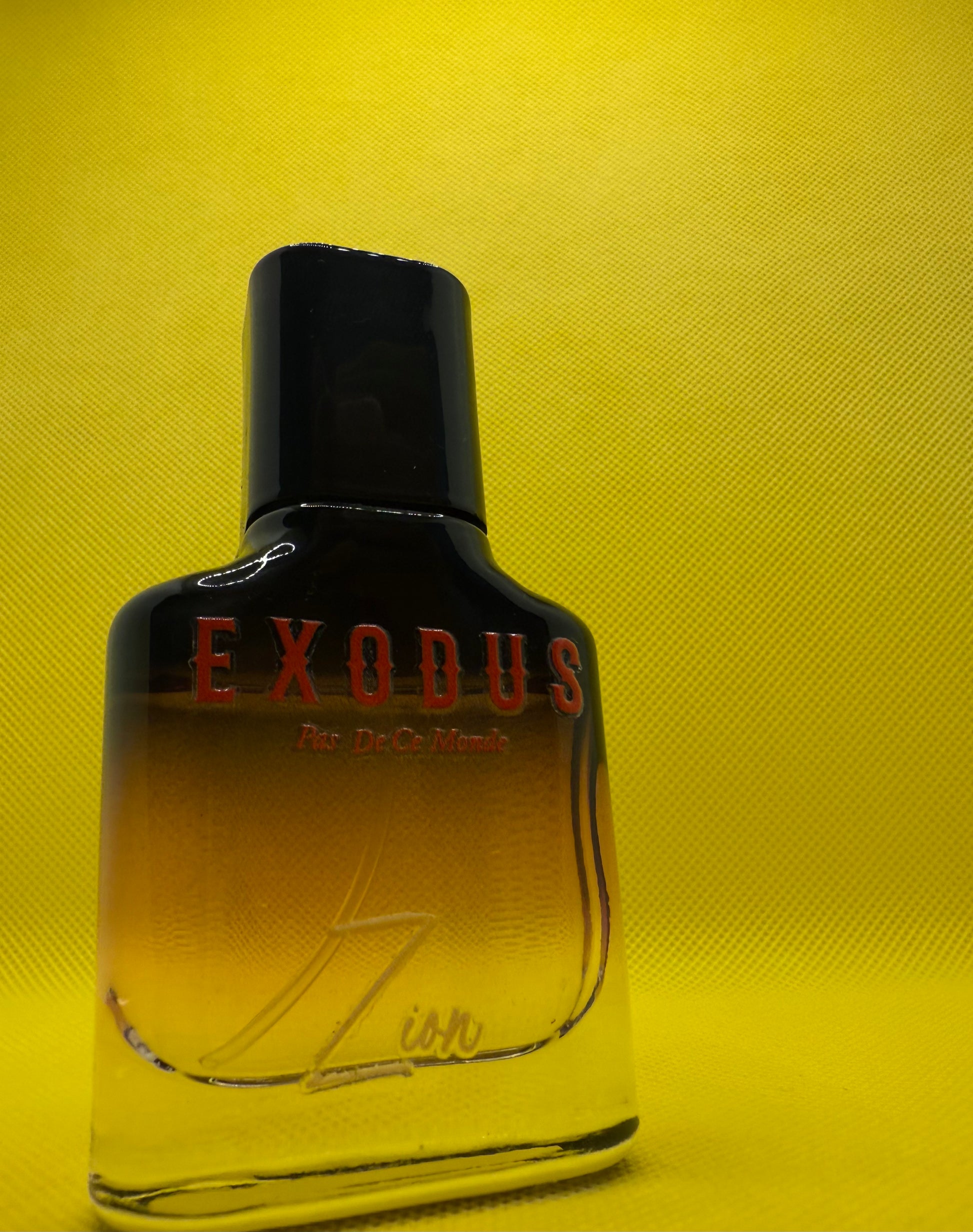 Clothing and accessories from Exodus Pas De Ce Monde – unisex streetwear including t-shirts, jackets, sunglasses, jewelry, bags, and headwear designed for everyday wear and bold urban fashion.